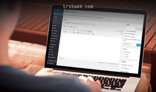 إضافات مهمة لووردبريس