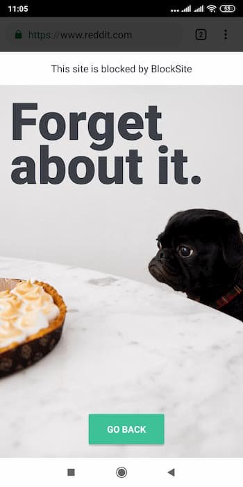 كيفية حظر المواقع على الاندرويد كيفية حظر المواقع على الاندرويد