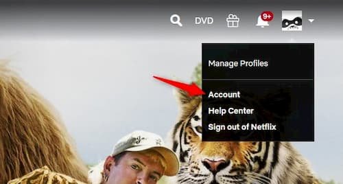 Paramètres du compte Netflix
