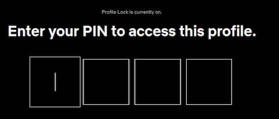 Code Pin Netflix
