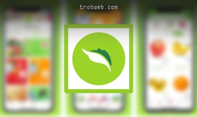 تحميل تطبيق نعناع