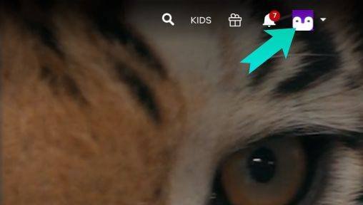 تغيير خطة الاشتراك في netflix