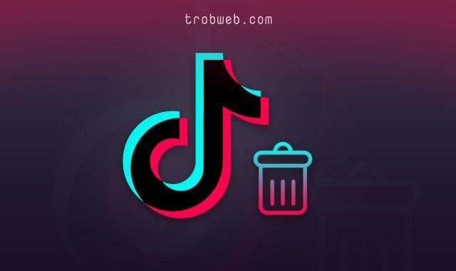 حذف حساب تيك توك