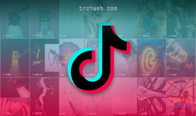 حسابات تيك توك للابداع