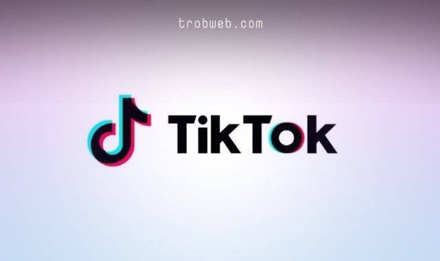 شبكة تيك توك