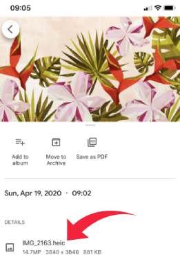 صيغة الصور heic