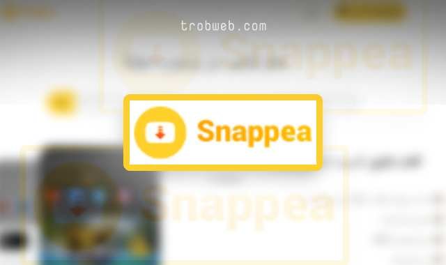 مراجعة snappea
