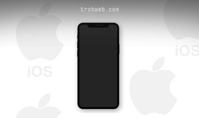 كيفية جعل شاشة iphone لا تنطفئ