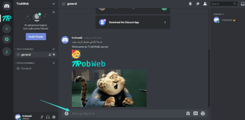 الدردشة في سيرفر على ديسكورد