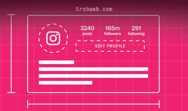ما هو bio في instagram