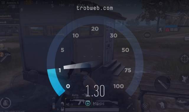 ما هو البنق