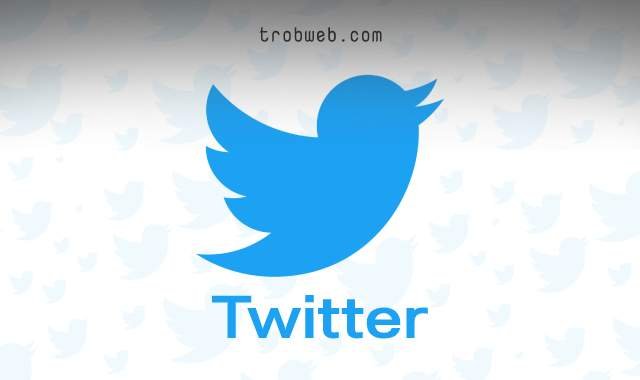 ما هو شبكة Twitter