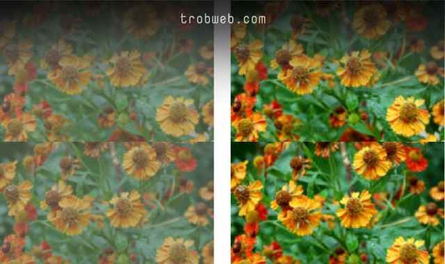 كيفية تحسين جودة الصور أون لاين بكل سهولة