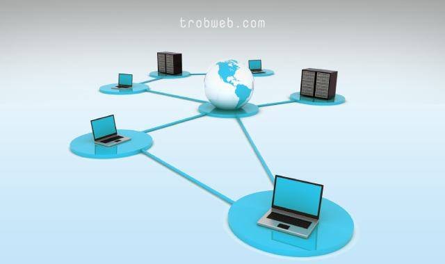 أنواع شبكات الإنترنت