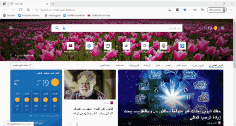 من أفضل وأسرع متصفحات الانترنت للكمبيوتر