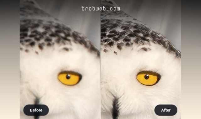 أفضل برامج توضيح الصور المشوشة