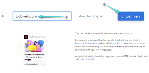 التأكد من حالة موقع الويب