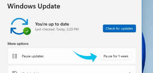 طريقة تعطيل تحديثات ويندوز 11