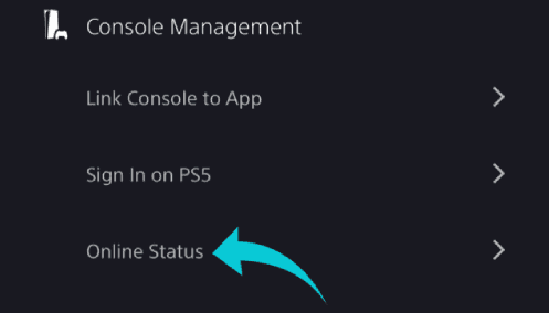 إخفاء حالتك على PS5