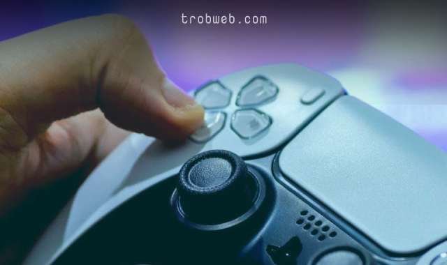 إخفاء الظهور أون لاين على PS5