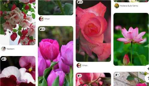 خلفيات افتارات ورد