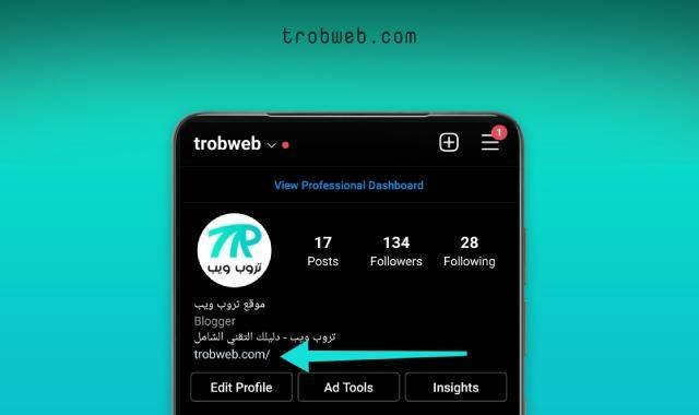 وضع رابط في البايو على انستقرام