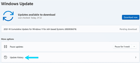 سجل التحديث في ويندوز 11