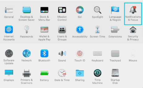 Notifications & Focus