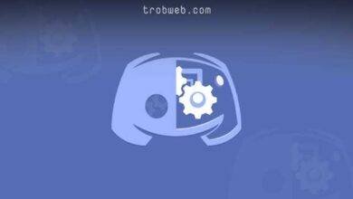 من أفضل بوتات ديسكورد