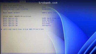طريقة الدخول على البيوس على Windows 11