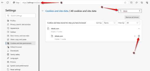 مسح بيانات موقع تيك توك على متصفح مايكروسوفت إيدج